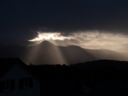 mystic golden hour